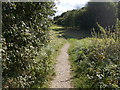 Footpath - Station Road