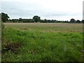 SP1567 : Farmland beside Camp Lane by Philip Halling