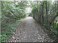 The Dollis Valley Greenwalk near Tillingham Way