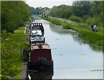 SK7894 : Chesterfield Canal at West Stockwith by Mat Fascione