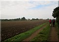 Field  edge  footpath  toward  Dam  Lane