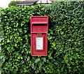 Queen Elizabeth II postbox in a Tutshill hedge