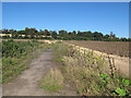 Disused access track off the B194