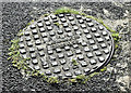 J2765 : Macnaughton manhole cover, Hilden (October 2016) by Albert Bridge