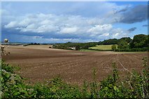 SU5528 : View towards Ovington Down Farm by David Martin
