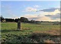 Cromleybank Stone