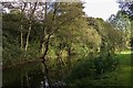 Hollinwood Branch Canal