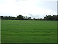 Grassland off the B6243