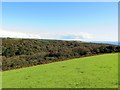 View over Penberth Valley