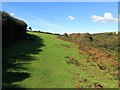 Field path east of Treen