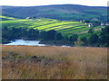 Strip fields at Stanbury, Haworth