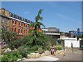 Cross Bones Garden - general view