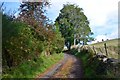 Private Road above Dunkeld