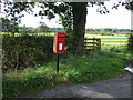 Elizabeth II postbox on Durton Lane