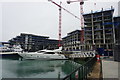 New construction at Alexandra Wharf