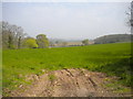 Field north of Oxton Road, south west of Halam