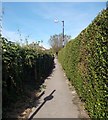 Footpath - Harlow Avenue