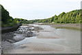 SM9801 : River Pembroke by Alan Hunt