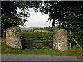 Round stone gate pillars, Drumlish