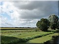 SE7611 : Windy day, gathering clouds, west of Crowle Bridge by Christine Johnstone