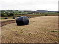 Silage bales, Corrasheskin