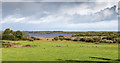 M8500 : View towards Lough Derg by David P Howard