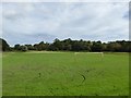 SJ8848 : Football pitch on Central Forest Park by Jonathan Hutchins