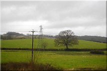SX8769 : Pylon in the Aller Brook Valley by N Chadwick