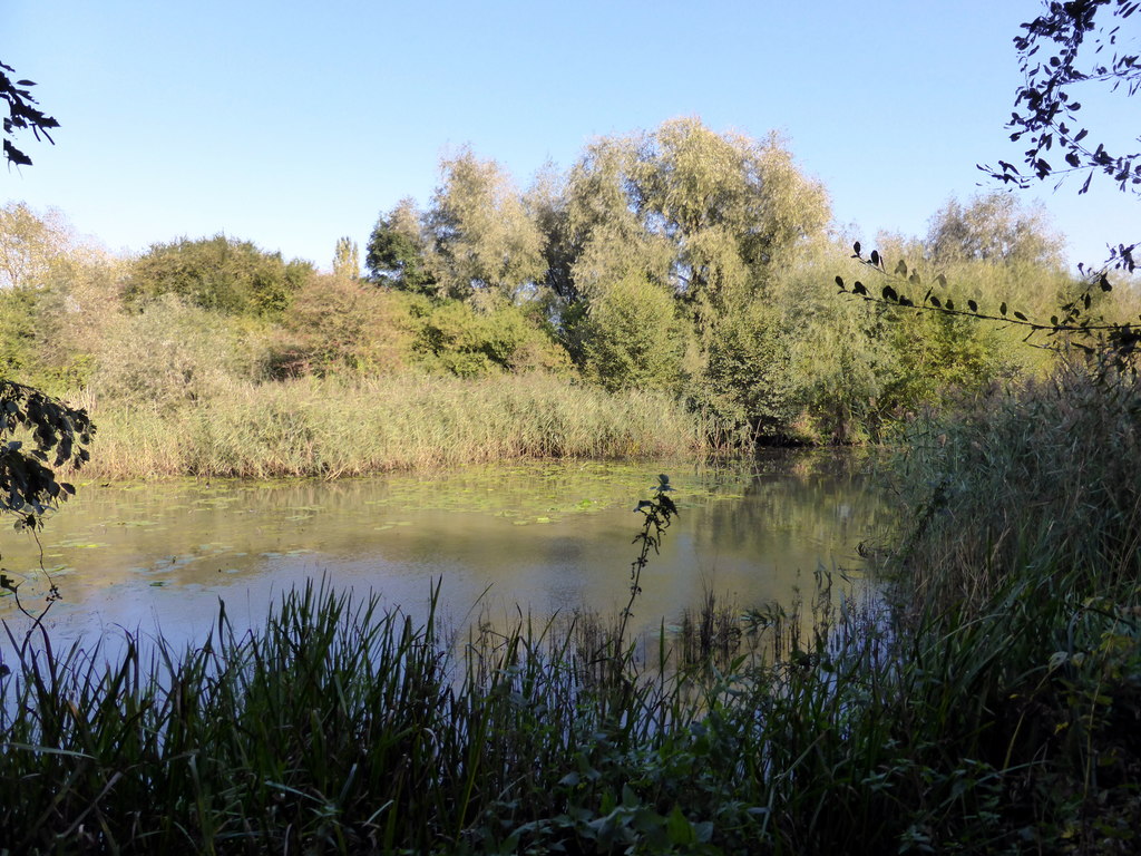 Lake at Woods Mill Nature Reserve © PAUL FARMER cc-by-sa/2.0 ...