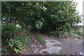 Path leading to Upper Cumberworth