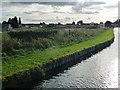 Canal towpath, at Stainforth