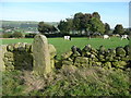 Hebden Royd FP59 from FP57 to Hathershelf Lane - Stile, Mytholmroyd