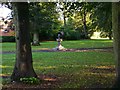 Fountain in Greenfield Gardens