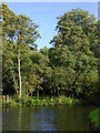 Canal and woodland at Calf Heath, Staffordshire