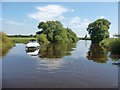 SE5738 : Boat on the River Ouse, passing Wharfe's Mouth by Christine Johnstone