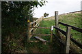 Path leading to Cliff Top