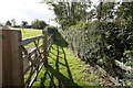 Path leading towards Newtown, Honley