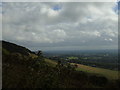 Oak Wood and Brockham Hills