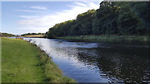 NZ2686 : Wansbeck Riverside Country Park by Clive Nicholson