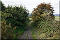 Lane leading to Cold Hill