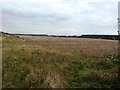 Field near Bawtry Road