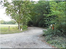 SU9355 : Track off Mill Lane, Pirbright by David Howard