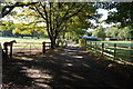 Track near Woodnook Farm