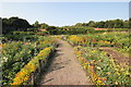 The Walled Garden at Norton Priory