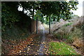 SK4964 : Path alongside the A617, Chesterfield Road by Ian S