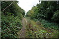 Path alongside the A617, Chesterfield Road