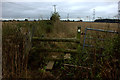 Stile on overgrown footpath