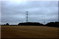 Power lines near Wendover Woods