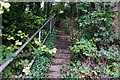 Steps off Chesterfield Road, Pleasley