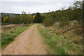 Bridleway at Oxclose Wood